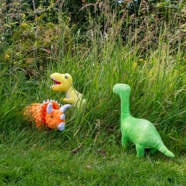Ancol Roarsome Dino's Dog Toy at The Lancashire Dog Company
