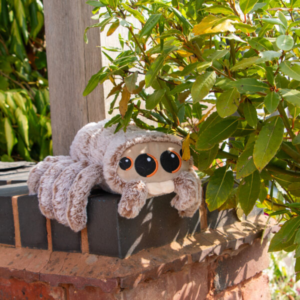 Ancol Sid Spider Plush Dog Toy at The Lancashire Dog Company