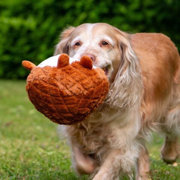 Ancol Quilted Cuddle Woodland Dog Toy at The Lancashire Dog Company