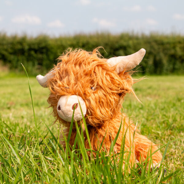 Ancol Fergus Highland Cow Plush Dog Toy at The Lancashire Dog Company