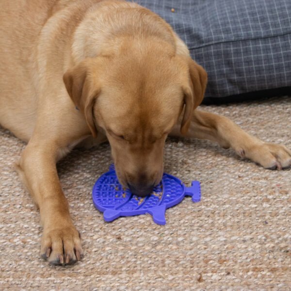 Ancol Orva Puffer Fish Lick Mat at The Lancashire Dog Company