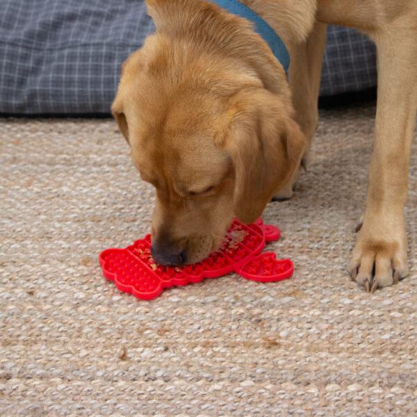 Ancol Orva Lobster Lick Mat at The Lancashire Dog Company