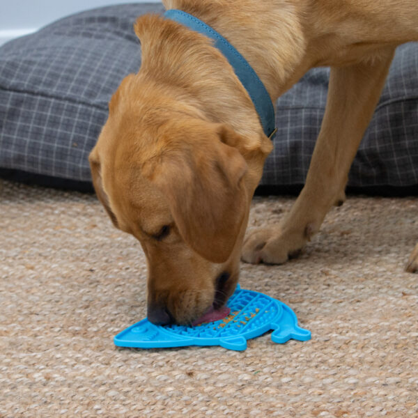 Ancol Orva Shark Lick Mat at The Lancashire Dog Company