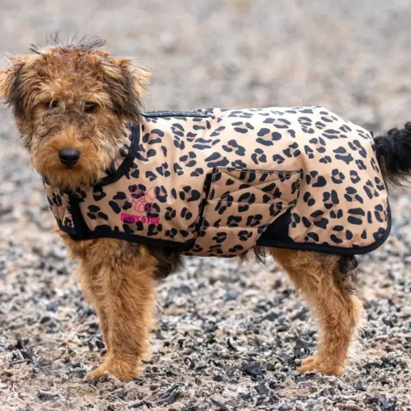 Digby & Fox Leopard Print Waterproof Dog Coat at The Lancashire Dog Company