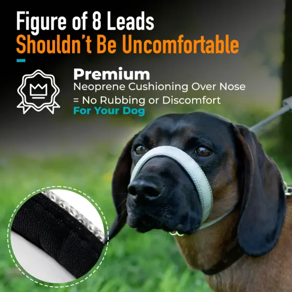 Total Pet Flat Figure of 8 Grey Dog Lead at The Lancashire Dog Company
