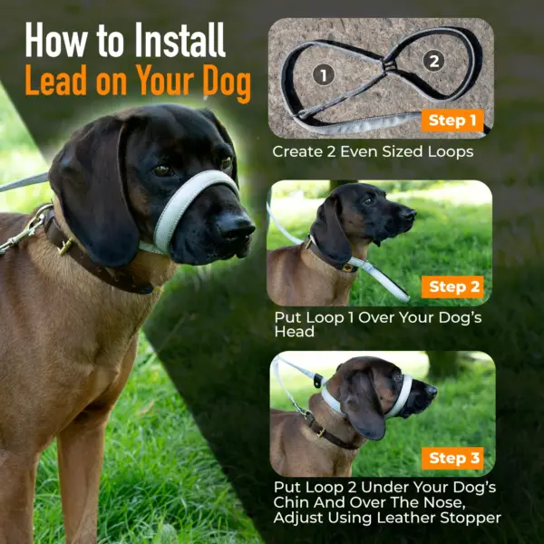 Total Pet Flat Figure of 8 Grey Dog Lead at The Lancashire Dog Company