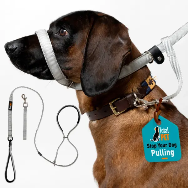 Total Pet Flat Figure of 8 Grey Dog Lead at The Lancashire Dog Company