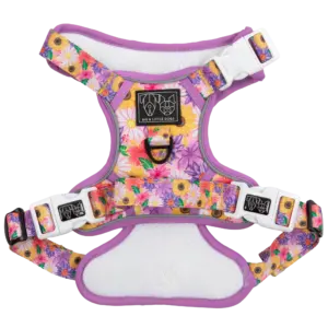Big & Little Dogs Spring Fling Dog Harness at The Lancashire Dog Company