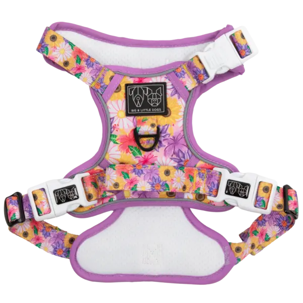 Big & Little Dogs Spring Fling Dog Harness at The Lancashire Dog Company
