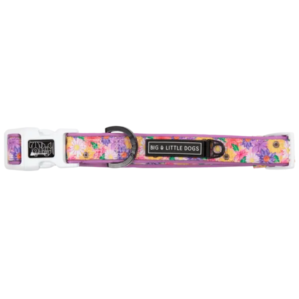 Big & Little Dogs Spring Fling Dog Collar at The Lancashire Dog Company