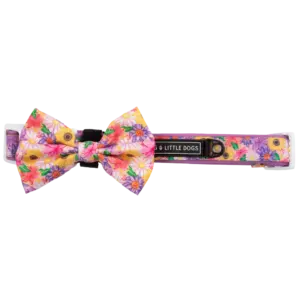 Big & Little Dogs Spring Fling Dog Collar at The Lancashire Dog Company