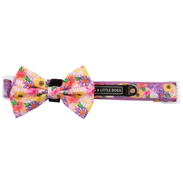 Big & Little Dogs Spring Fling Dog Collar at The Lancashire Dog Company
