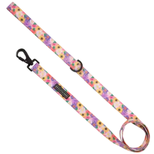The Big & Little Dogs Spring Fling Dog Lead at The Lancashire Dog Company