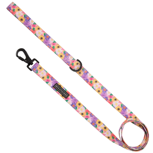 The Big & Little Dogs Spring Fling Dog Lead at The Lancashire Dog Company