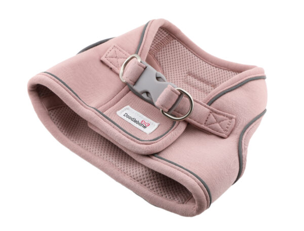 Back view of the Doodlebone Dinky Dog Snappy Step-In Harness in Chalky Pink – adjustable fit for small dogs and puppies.