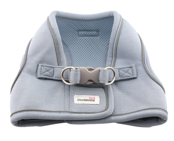 Back view of the Doodlebone Dinky Dog Snappy Step-In Harness in Chalky Blue – adjustable fit for small dogs and puppies.