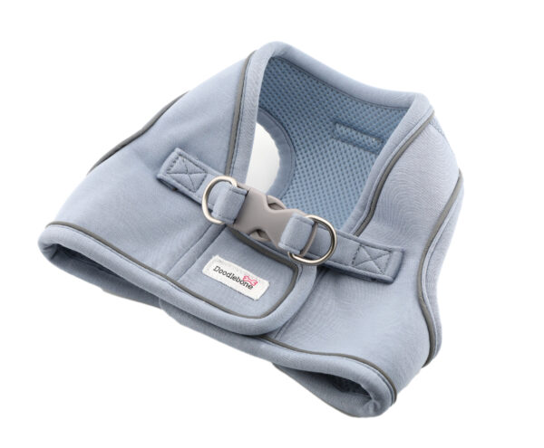 Back view of the Doodlebone Dinky Dog Snappy Step-In Harness in Chalky Blue – adjustable fit for small dogs and puppies.
