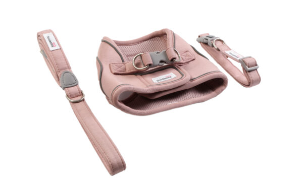 Doodlebone Dinky Dog Harness, Collar and Lead Set in Chalky Pink – matching dog accessories for small breeds.