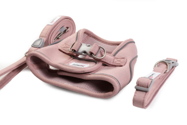 Doodlebone Dinky Dog Harness, Collar and Lead Set in Chalky Pink – matching dog accessories for small breeds.