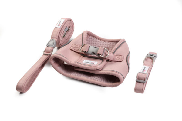 Doodlebone Dinky Dog Harness, Collar and Lead Set in Chalky Pink – matching dog accessories for small dog breeds.