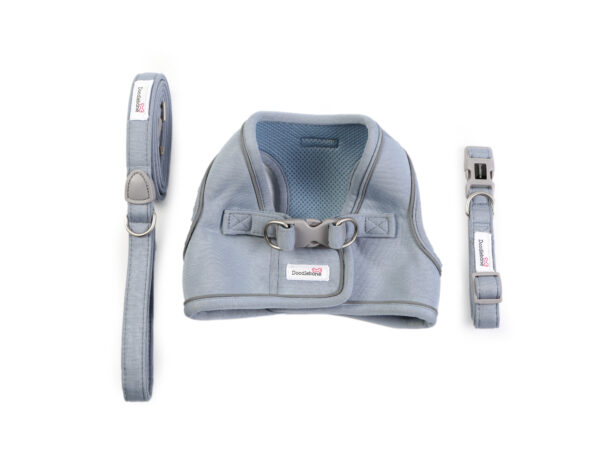 Doodlebone Dinky Dog Harness, Collar and Lead Set in Chalky Blue – matching dog accessories for small breeds.