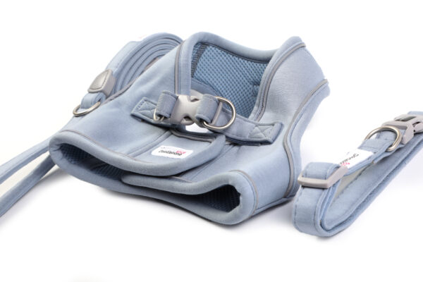 Doodlebone Dinky Dog Harness, Collar and Lead Set in Chalky Blue – matching dog accessories for small breeds.