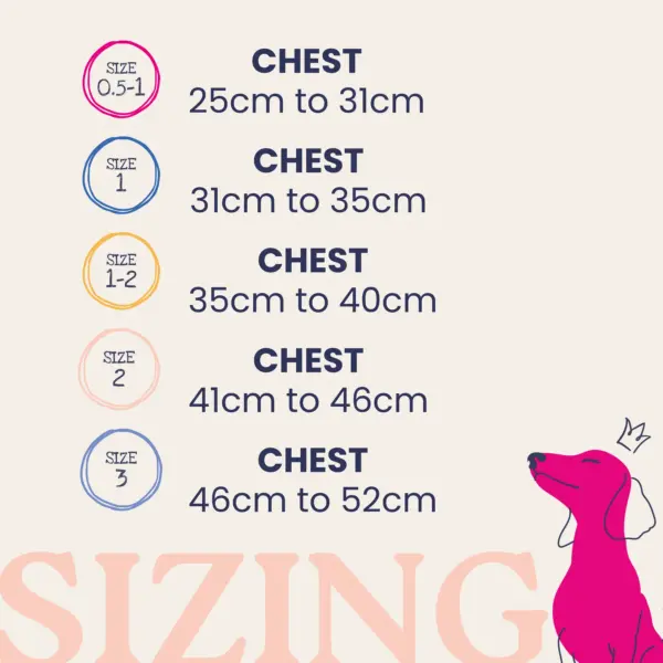 Size guide for the Doodlebone Dinky Dog Step-In Harness – Chalky Pink, showing chest measurements for small dogs and puppies.