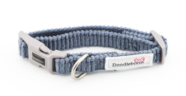 Blue cord dog collar with embroidered dog-themed patches and brushed nickel hardware