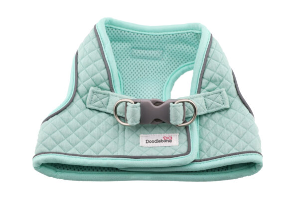 Mint green quilted step-in dog harness by Doodlebone shown from the back