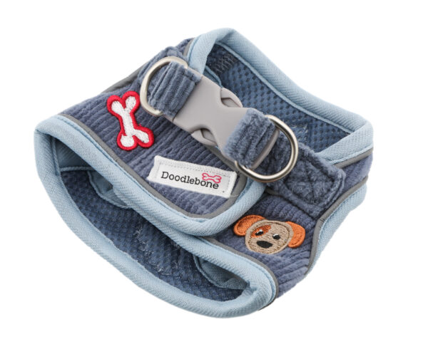 Dinky Dog Harness – Blue Cord Back View