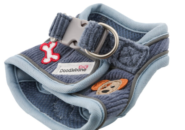 Back view of blue cord dog harness with brushed nickel D-rings and step-in design