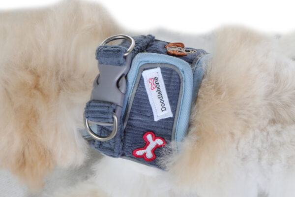 Small dog wearing the Dinky Dog Harness in blue cord with embroidered patches