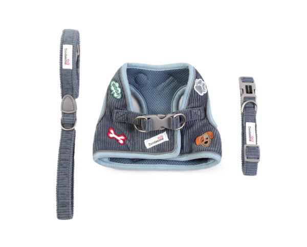 Dinky Dog harness, collar and lead set in Blue Cord for small dogs and puppies