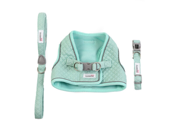 Mint Quilt dog harness, collar and lead set for small dogs and puppies