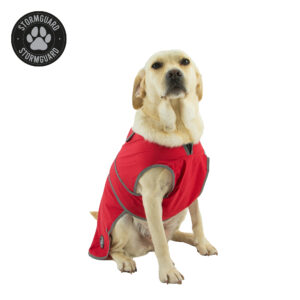 Ancol Stormguard Waterproof Dog Jacket in Bordeaux Red – Sizes XS to XXL