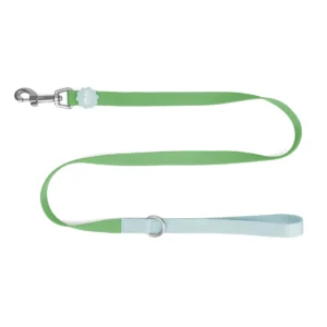 Little Ginger Two Tone Dog Lead in Spearmint at The Lancashire Dog Company