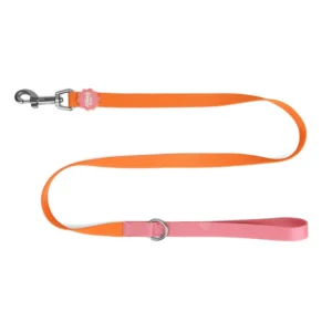 Little Ginger Two Tone Dog Lead in Tutti-Fruity at The Lancashire Dog Company
