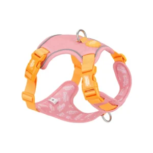 Little Ginger Tutti-Fruity Control Dog Harness available at The Lancashire Dog Company