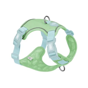 Little Ginger Spearmint Control Dog Harness available at The Lancashire Dog Company