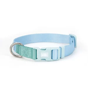 Little Ginger Two Tone Dog Collar in Spearmint at The Lancashire Dog Company