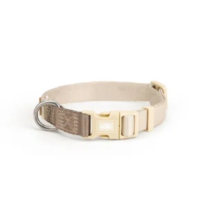 Little Ginger Two Tone Dog Collar in Cafe Latte at The Lancashire Dog Company