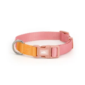 Little Ginger Two Tone Dog Collar in Tutti‑Fruit at The Lancashire Dog Company