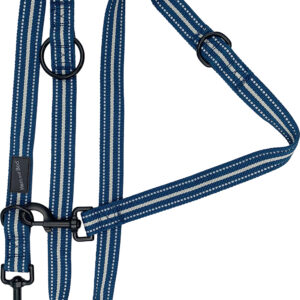 Blue Hem and Boo Sports Training Dog Lead