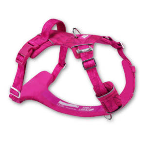Twiggy Tags Sakura Adventure 2.0 vibrant pink dog harness available at The Lancashire Dog Company