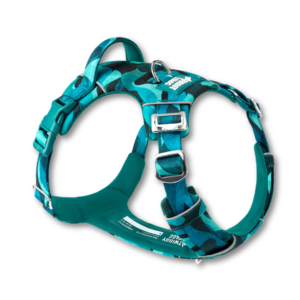 Twiggy Tags Lagoon Adventure 2.0 dog harness available at The Lancashire Dog Company