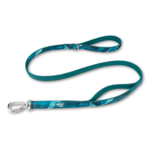 Twiggy Tags Lagoon Close Control Dog Lead in green, available at The Lancashire Dog Company