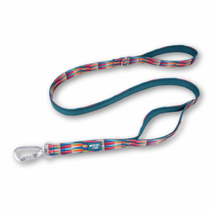 Twiggy Tags Elixir Close Control Dog Lead in multi-colours, available at The Lancashire Dog Company