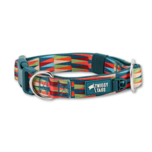 Twiggy Tags Elixir Multi-Coloured Comfort Dog Collar available at The Lancashire Dog Company